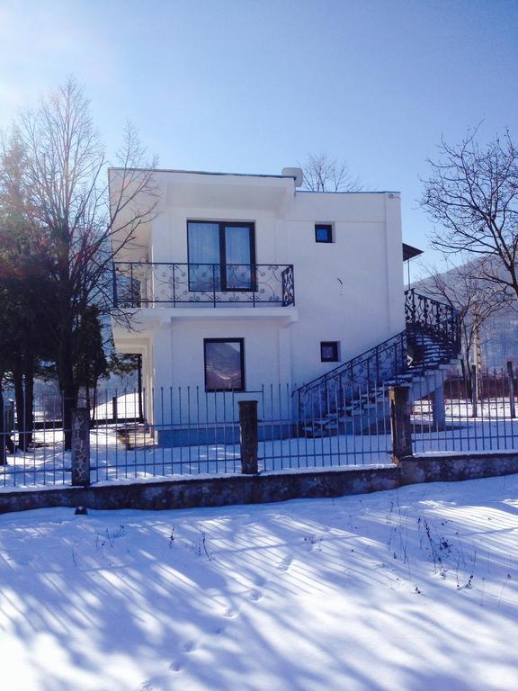 Vila Blanca Alexandru cel Bun 部屋 写真