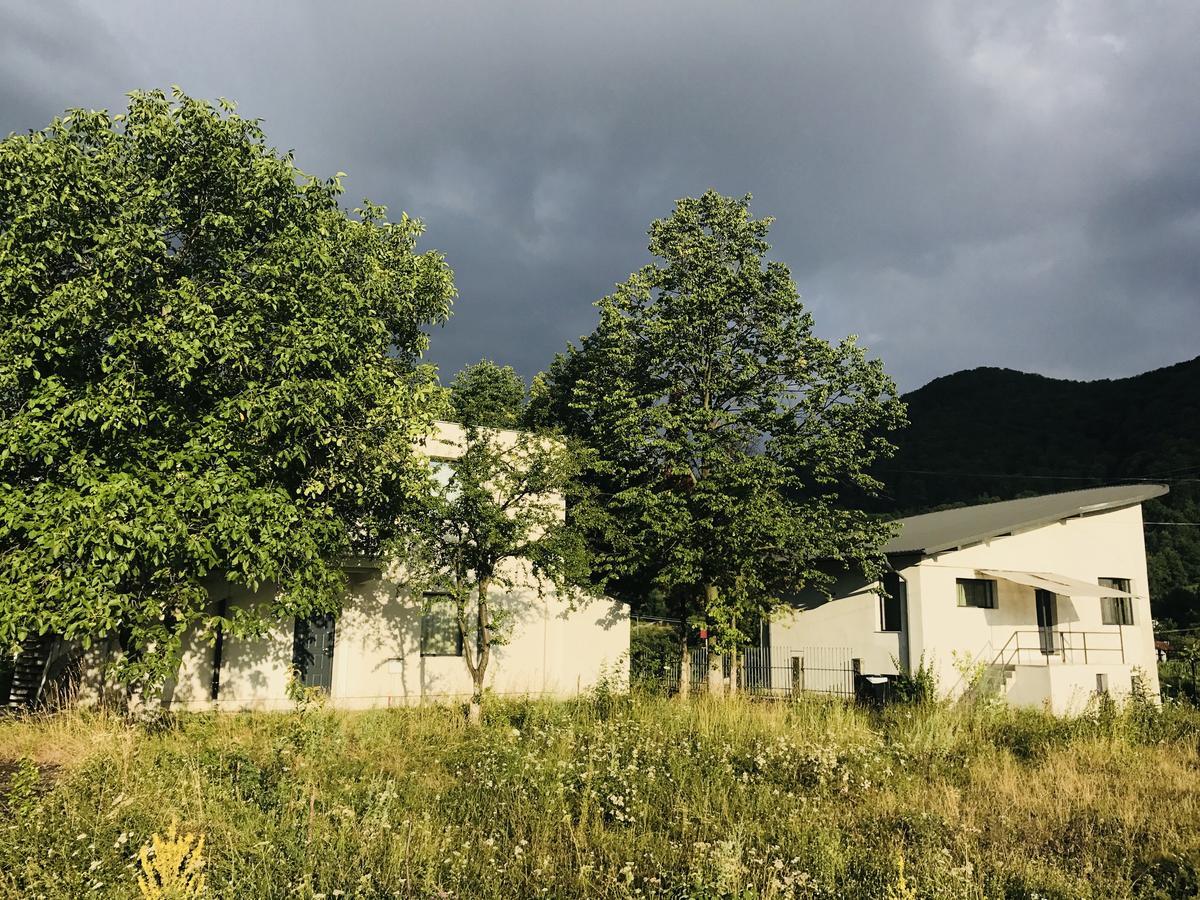 Vila Blanca Alexandru cel Bun エクステリア 写真